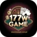 177W Game