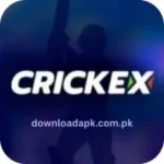 CRICKEX Game