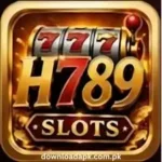 H789 Game