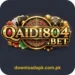 Qaidi804 Game