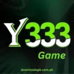 Y333 Game